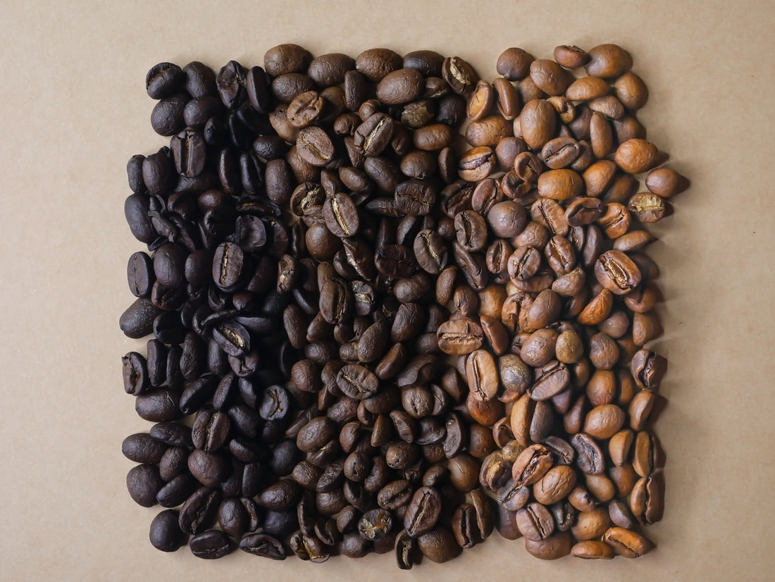 Finding Your Perfect Brew: Light, Medium, or Dark Roast Coffee?