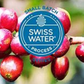 Fresh Roasted Decaf Colombia Select Swiss H2O Process by Profile edit12